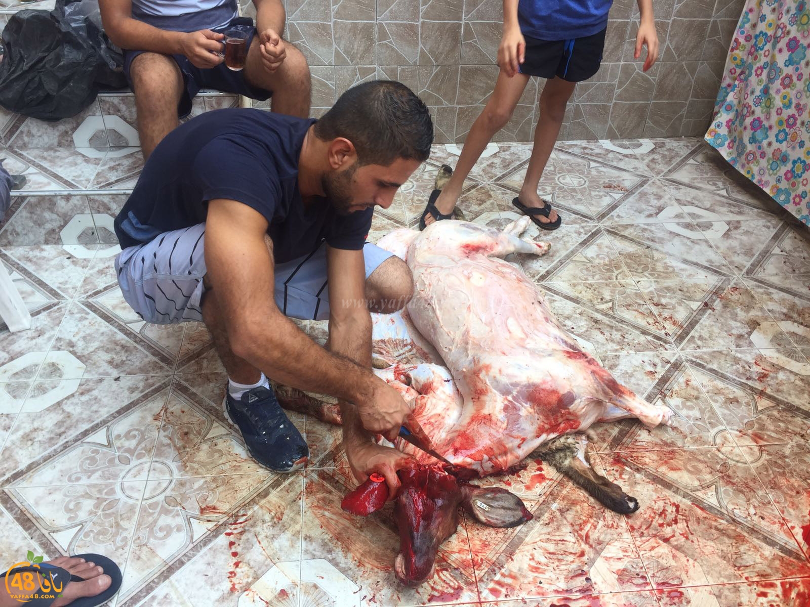 dab7 ada7y wu3ed (31).jpg